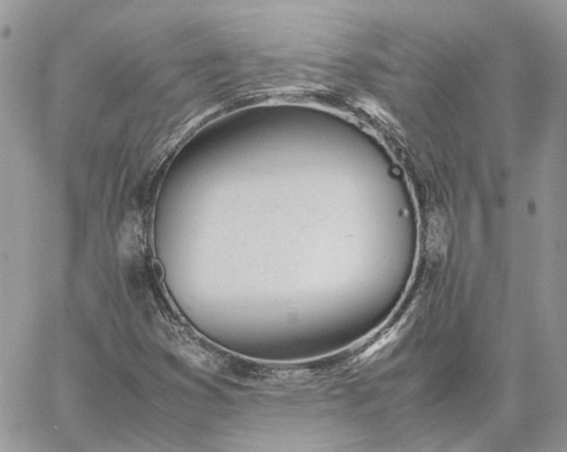 X0000060781353200511171232