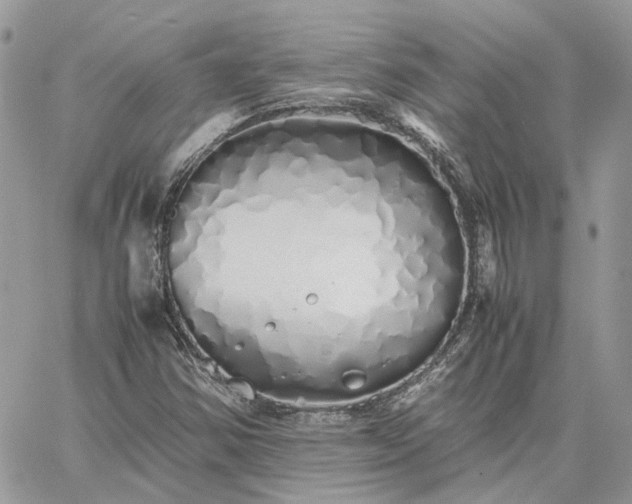 X0000060781354200511171232