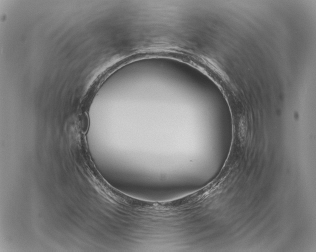 X0000060781356200511171232