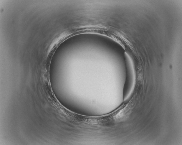 X0000060781357200511171232