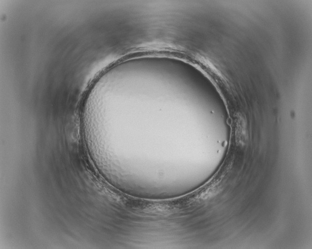 X0000060781358200511171232