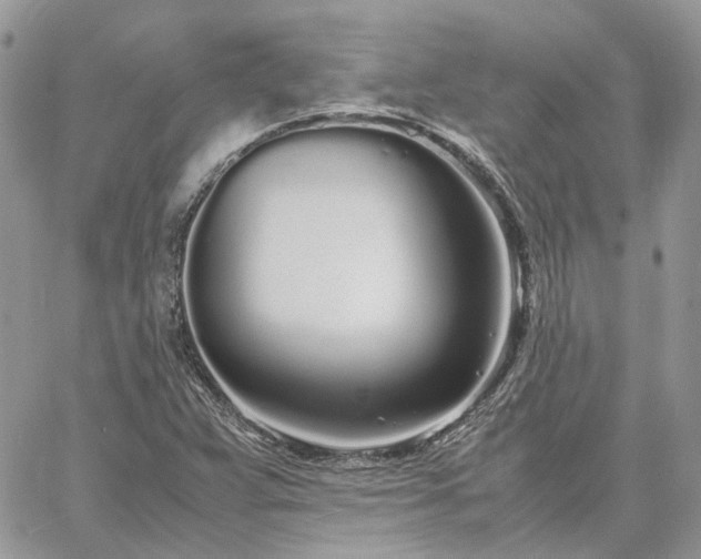 X0000060781359200511171232