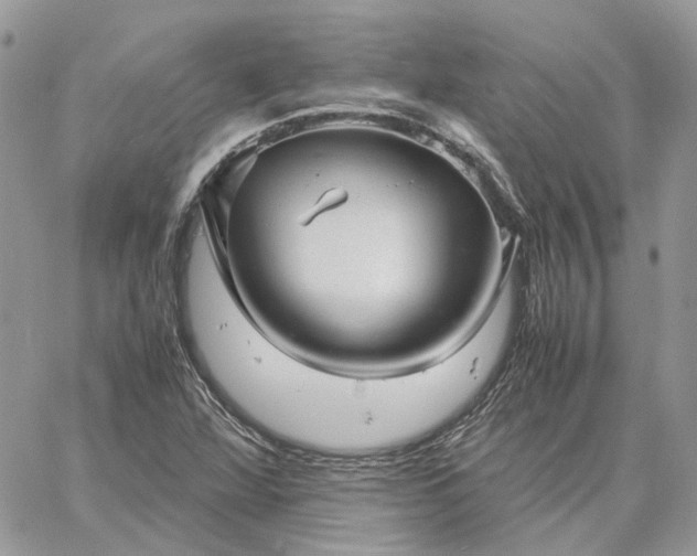 X0000060781360200511171232