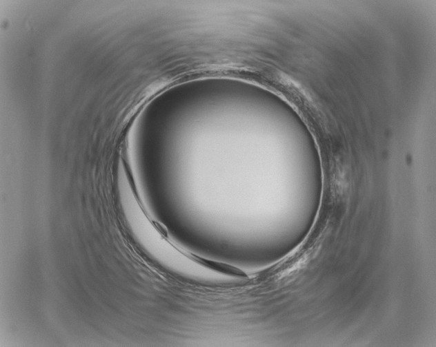 X0000060781361200511171232