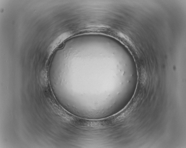 X0000060781362200511171232