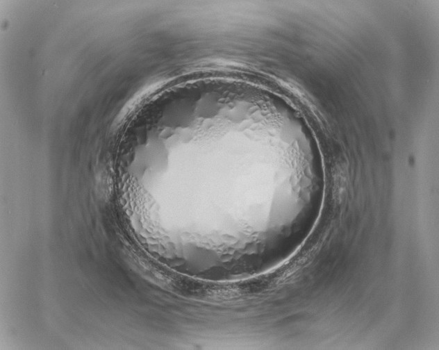 X0000060781363200511171232