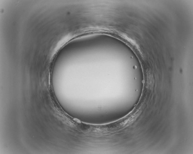 X0000060781365200511171232