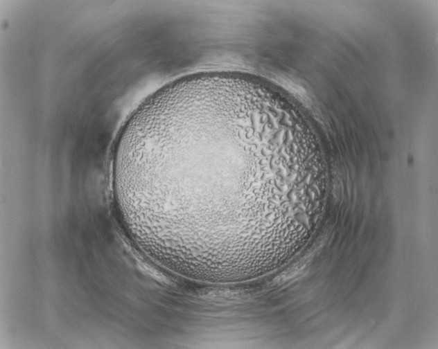 X0000060781366200511171232