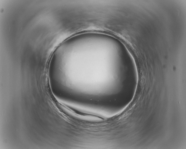 X0000060781367200511171232