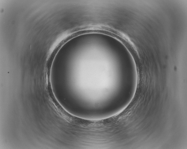 X0000060781368200511171232