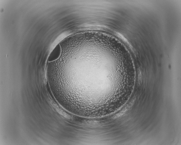 X0000060781370200511171232