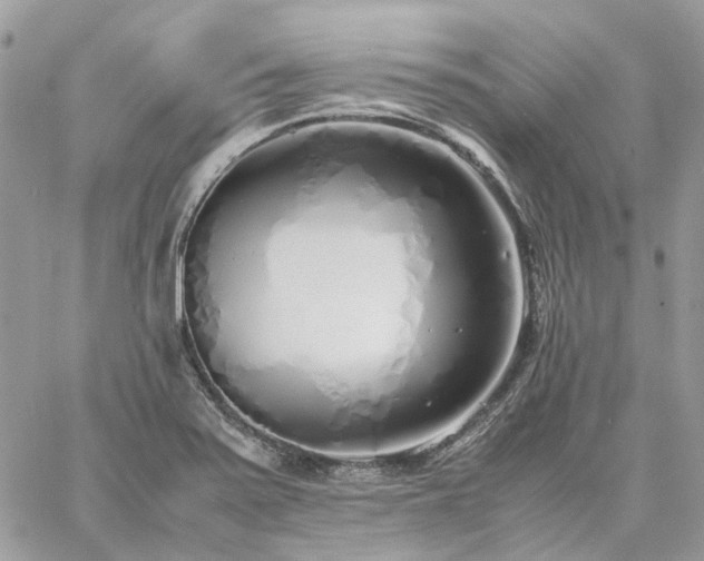 X0000060781371200511171232