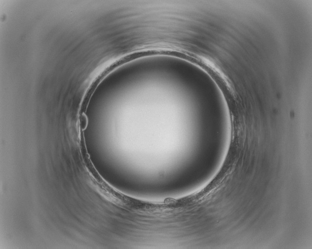 X0000060781372200511171232