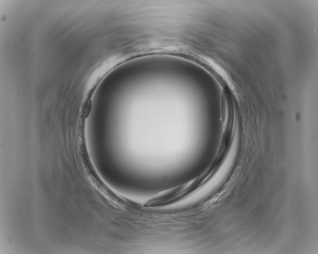 X0000060781373200511171232