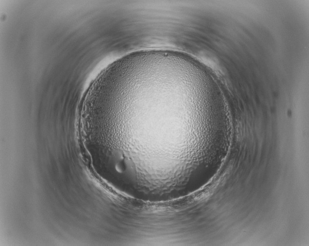 X0000060781374200511171232