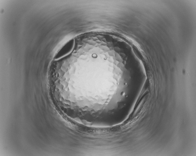 X0000060781375200511171232