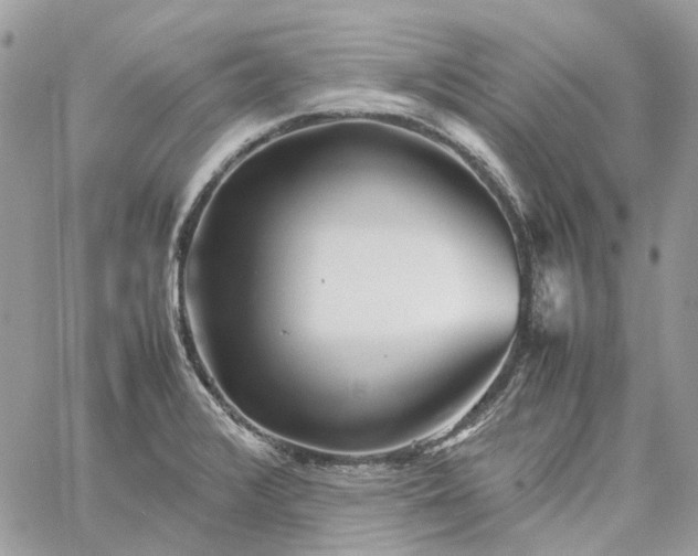 X0000060781376200511171232