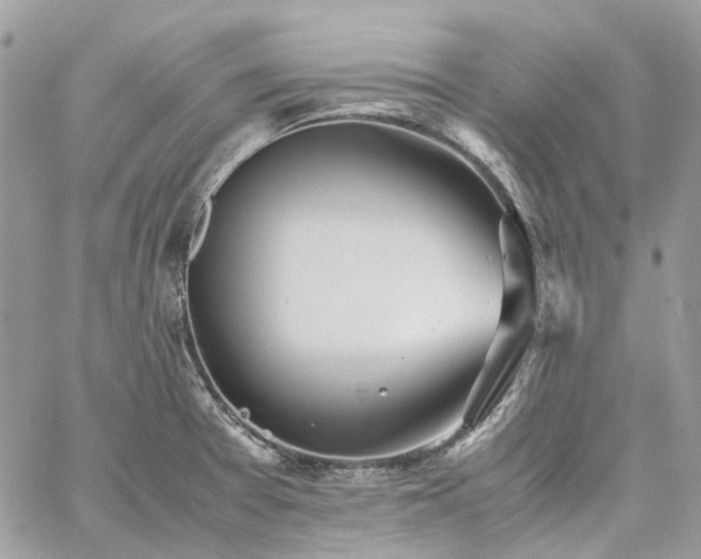 X0000060781377200511171232