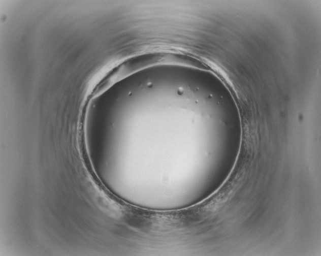 X0000060781379200511171232