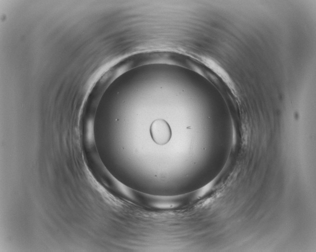 X0000060781380200511171232