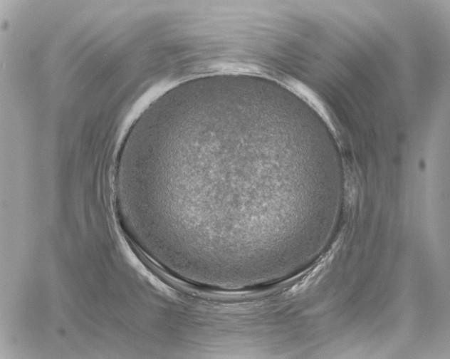 X0000060781381200511171232