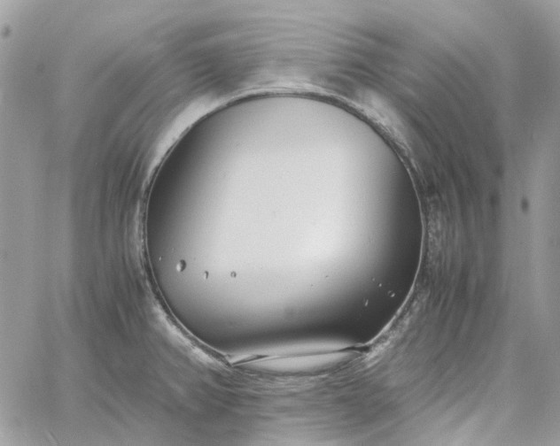 X0000060781382200511171232