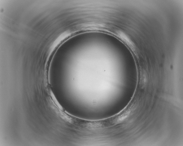 X0000060781384200511171232