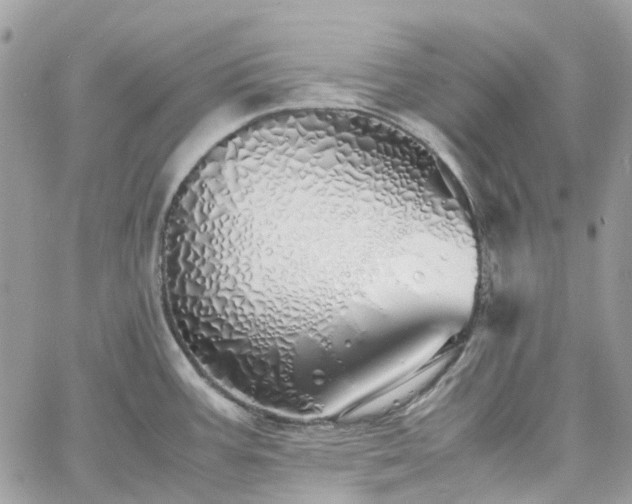 X0000060781387200511171232