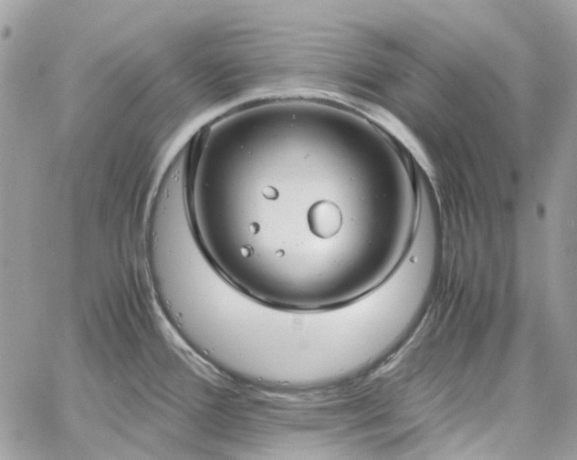 X0000060781388200511171232