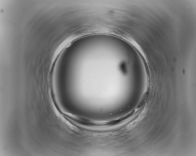 X0000060781389200511171232