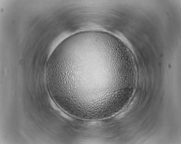 X0000060781390200511171232