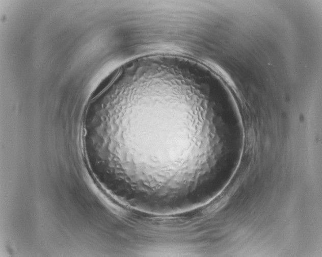 X0000060781391200511171232