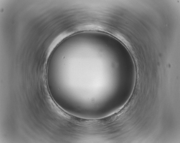 X0000060781392200511171232