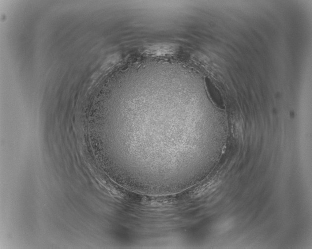 X0000060781393200511171231