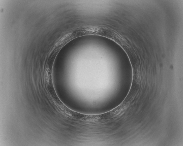 X0000060781394200511171231