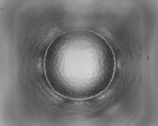 X0000060781396200511171231