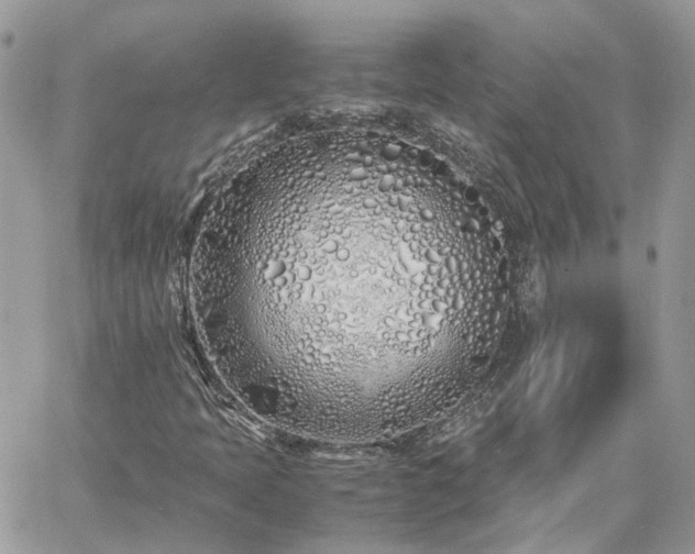 X0000060781397200511171231