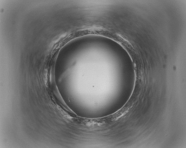 X0000060781398200511171231