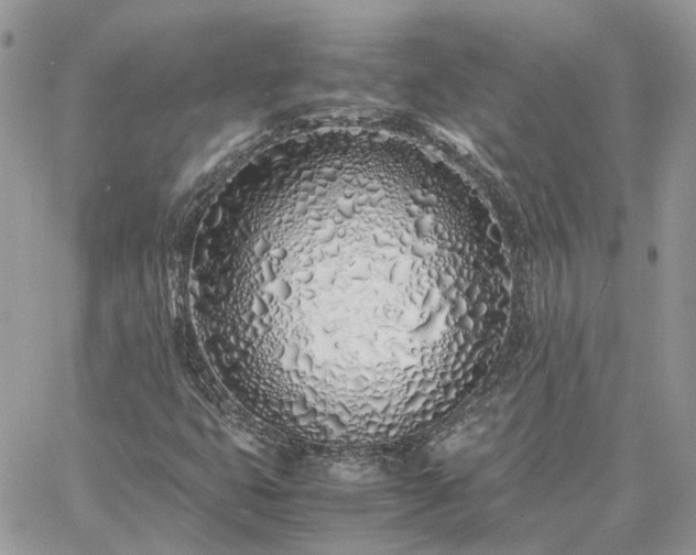 X0000060781399200511171231