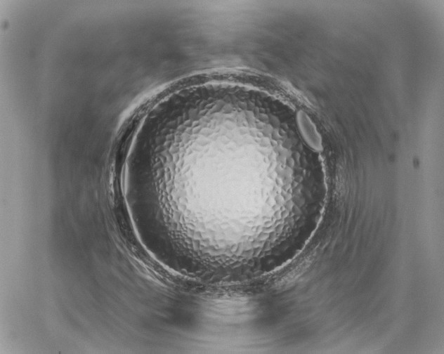 X0000060781400200511171231