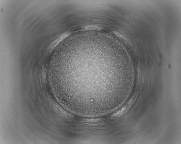 X0000060781401200511171231