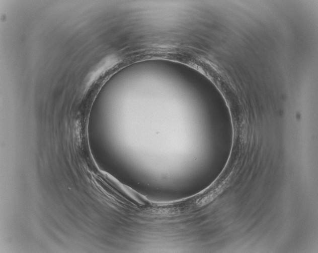 X0000060781402200511171231