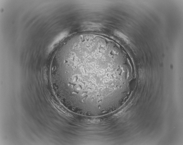 X0000060781403200511171231