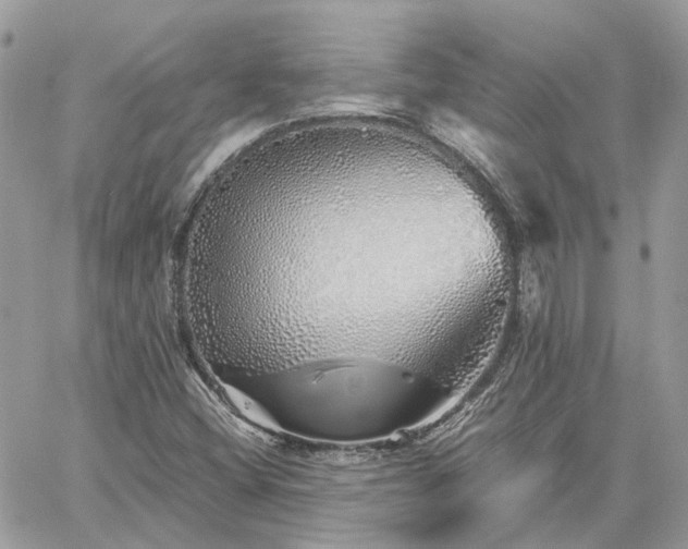 X0000060781404200511171231