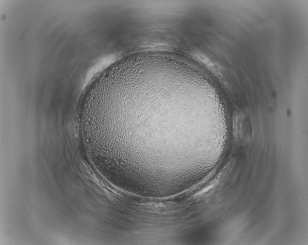 X0000060781405200511171231