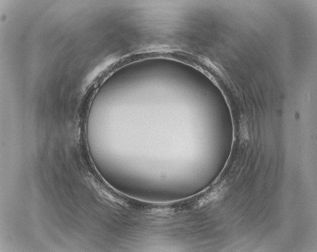 X0000060781406200511171231