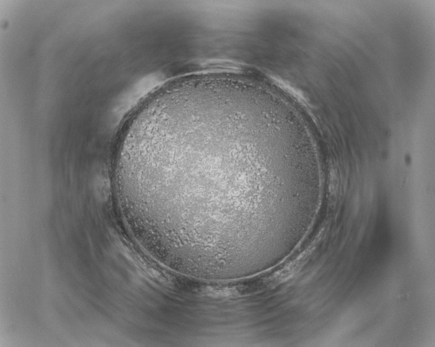 X0000060781407200511171231