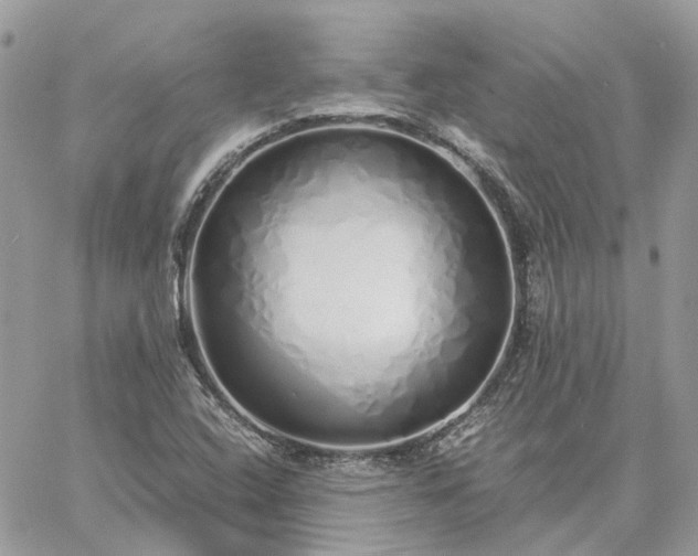 X0000060781408200511171231