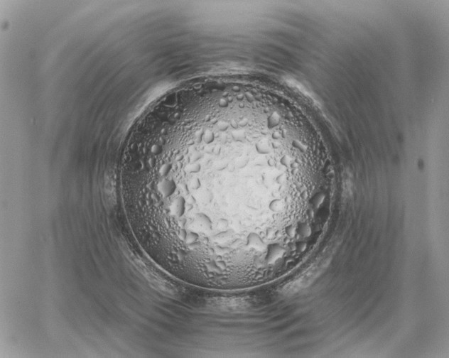 X0000060781409200511171231