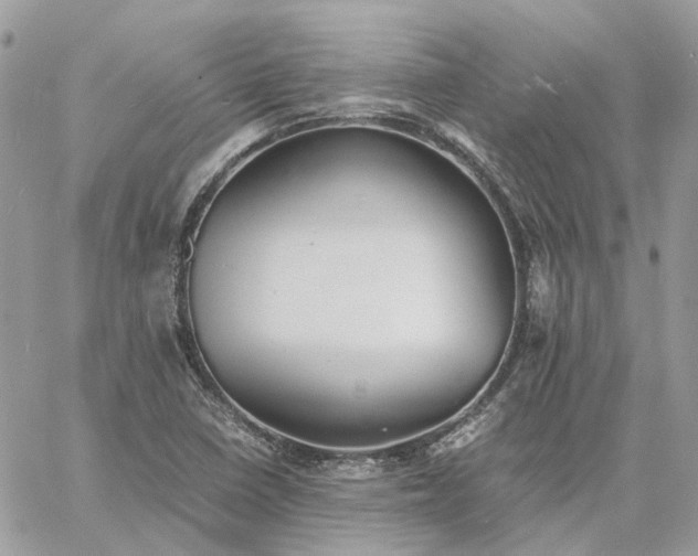 X0000060781410200511171231